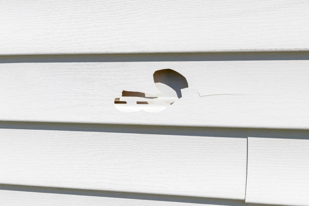 How To Choose The Right Materials for Your Siding Installation in 'Irwin, PA